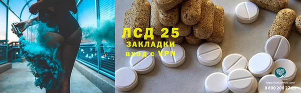гидра Заводоуковск
