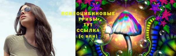 гидра Заводоуковск