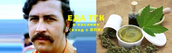 гидра Заводоуковск