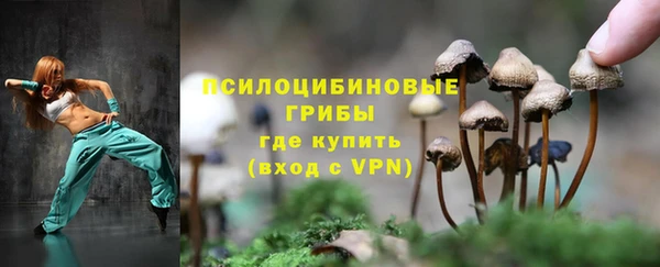 гидра Заводоуковск